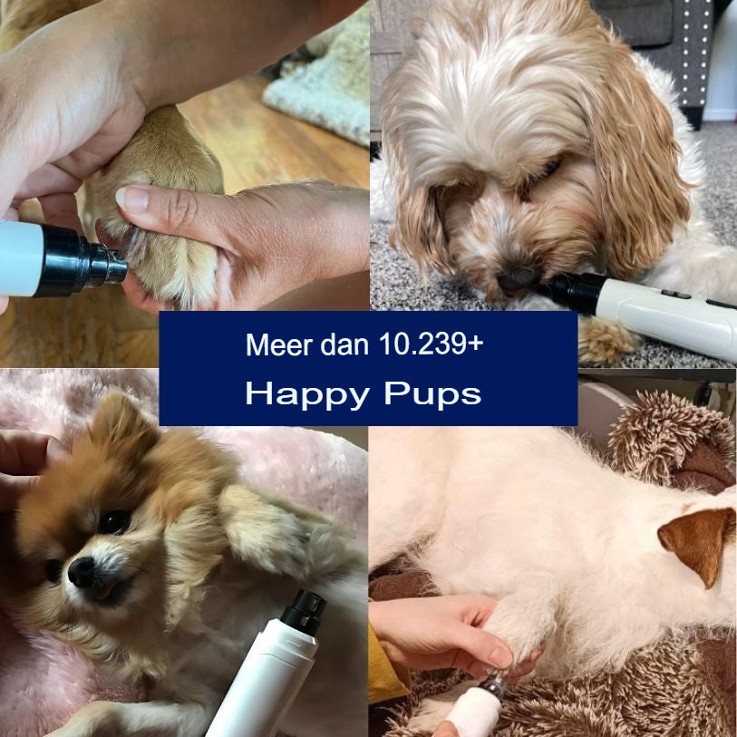 CalmPaw Silent Nail Care Pro